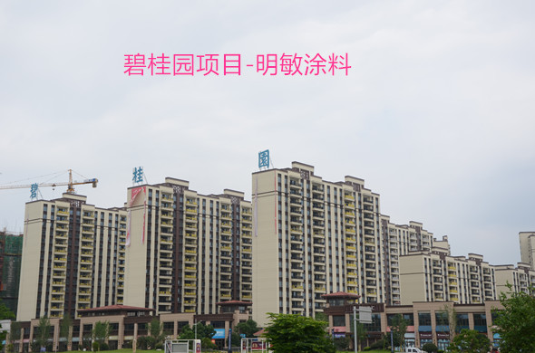 功能性建筑涂料.jpg