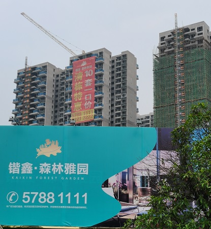 森林项目 (9).jpg